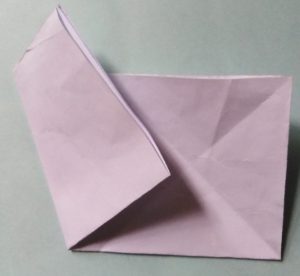 origami step8