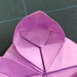 origami fiore di loto petali