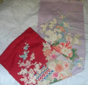 maniche di kimono