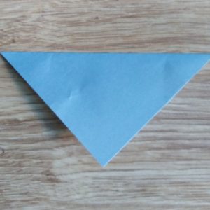 Origami topo1