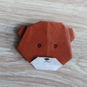 origami orsetto pronto