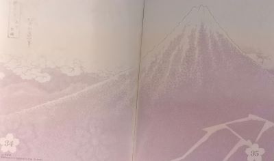 Fuji nero di Hokusai sul passaporto giapponese