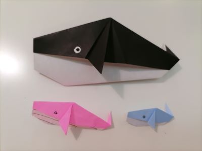 origami balena